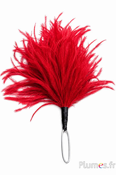 Federbusch Strauß mit Bügel - Höhe 18-20 cm - rot